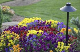 Палисадник перед домом: размер, стиль, выбор растений (80 фото) Посадить красиво цветы перед домом